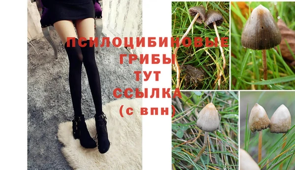 spice Богданович