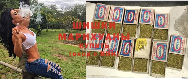 spice Богданович