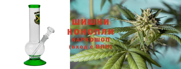 spice Богданович