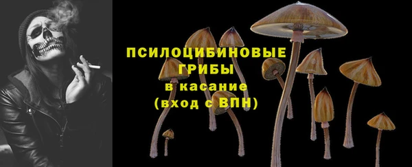 бошки Саяногорск