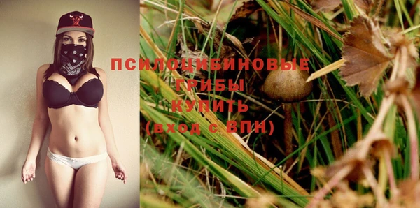 бошки Саяногорск
