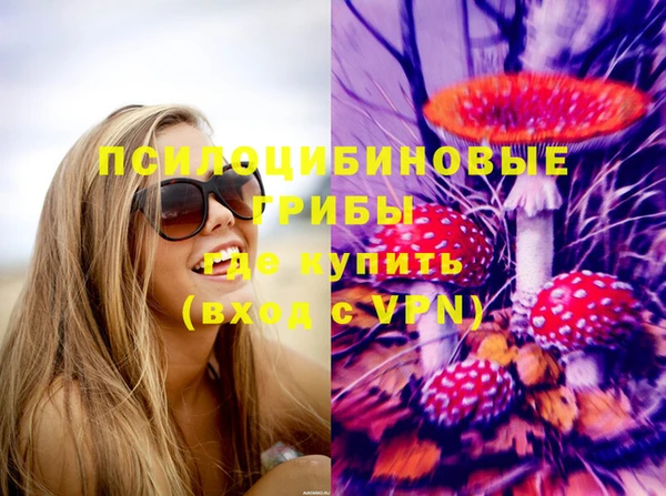 apvp Богородицк