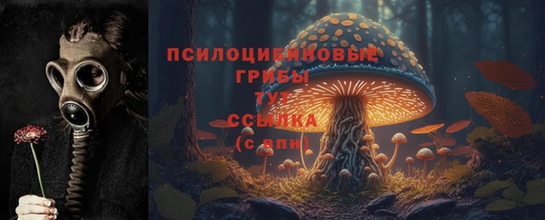 стаф Бугульма