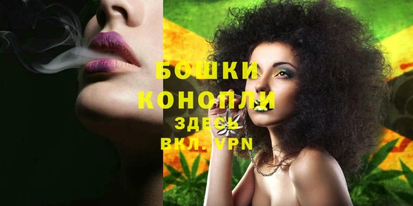 прущая мука Богородск