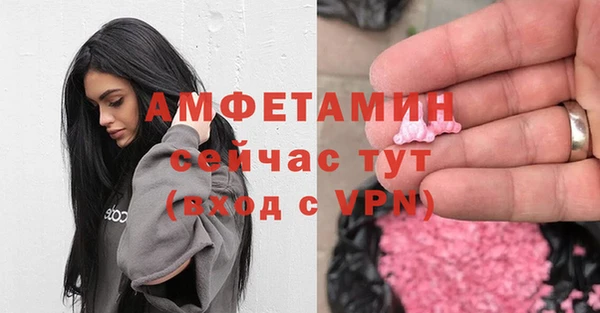 spice Богданович