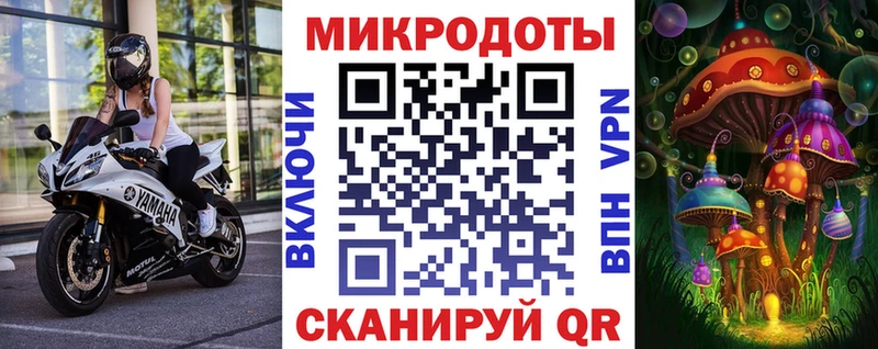 Галлюциногенные грибы Psilocybine cubensis  Клинцы 
